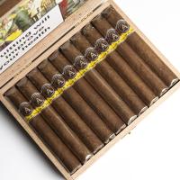 Aladino Corojo Corona Cigar - Box of 20